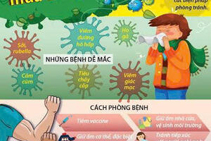 Đắk Lắk chủ động phòng, chống dịch bệnh trước, trong và sau Tết Nguyên đán Bính Ngọ 2026