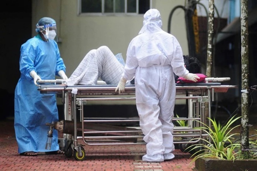 Bộ Y tế ban hành Chỉ thị khẩn về tăng cường giám sát phòng, chống dịch bệnh do vi rút NIPAH