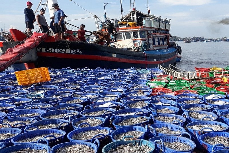 Tỉnh Đắk Lắk đạt nhiều kết quả quan trọng trong Tháng cao điểm chống khai thác IUU