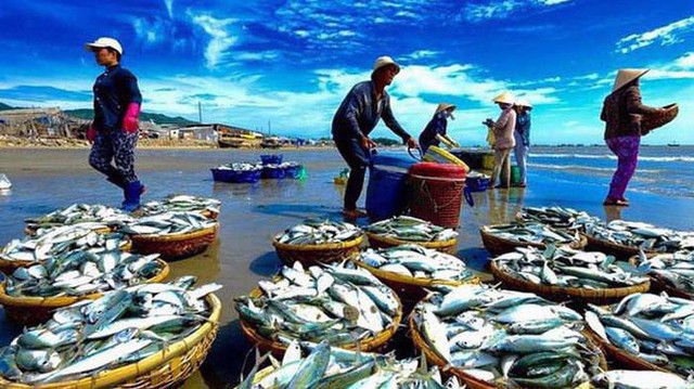Đắk Lắk triển khai thực hiện Chương trình quốc gia Bảo vệ và Phát triển nguồn lợi thủy sản đến năm 2030