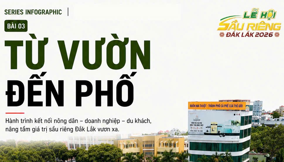 Từ vườn đến phố: Hành trình kết nối nông dân - doanh nghiệp - du khách, nâng tầm giá trị sầu riêng Đắk Lắk vươn xa