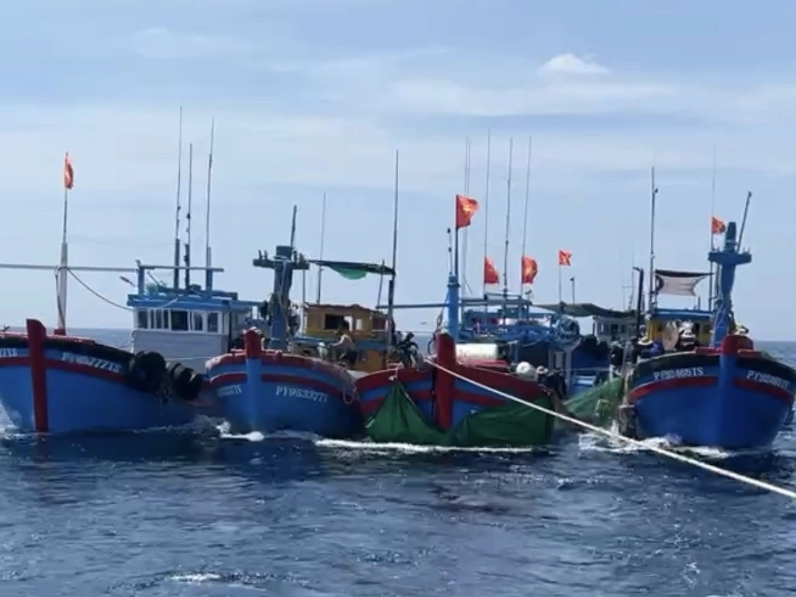 Tỉnh Đắk Lắk quyết tâm đẩy mạnh tiến độ đăng ký tàu cá và cấp giấy phép khai thác thuỷ sản